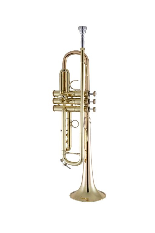 Bach Stradivarius 17043GYR Trumpet