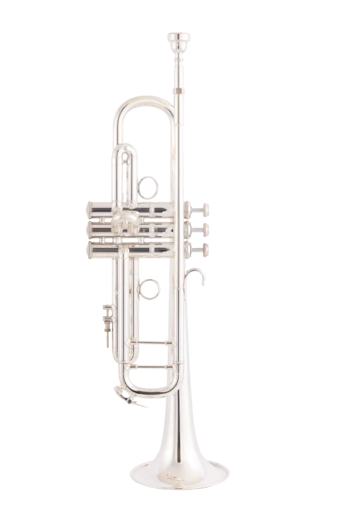 Bach Stradivarius 190SL65GV Vindabona Trumpet