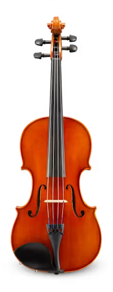 Samuel Eastman VA100SBC