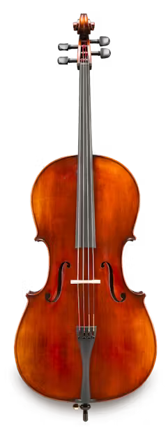 Andreas Eastman VC305SBC