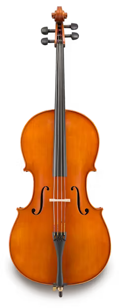 Andreas Eastman VC200SBC