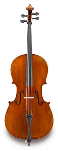 Andreas Eastman VC405SBC