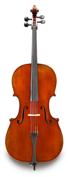 Albert Nebel VC601SBC