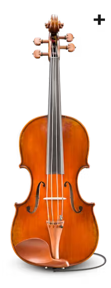 Andreas Eastman Series+ VA405+