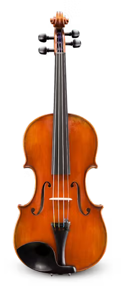Albert Nebel VL601SBC