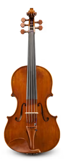 Andreas Eastman 5-String VA4055SBC