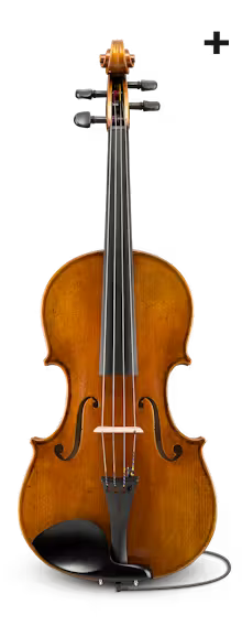 Albert Nebel Series+ VA601+SBC
