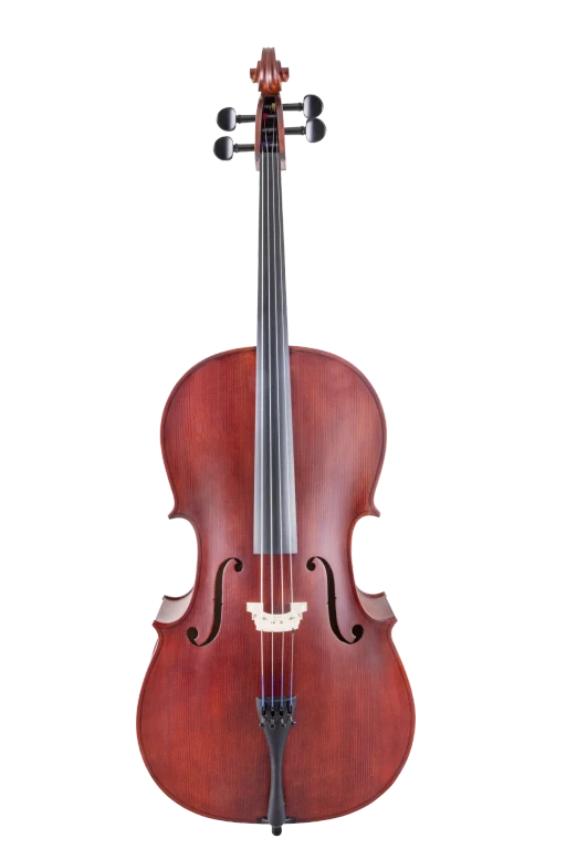 Scherl & Roth Cello SR44E4H Hybrid
