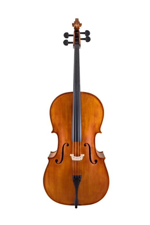 Scherl & Roth Cello SR55E4H Carved