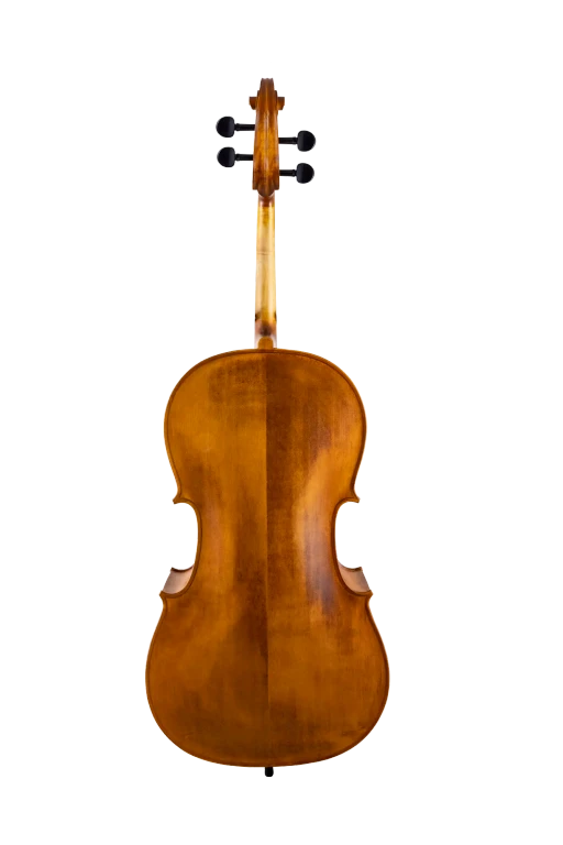 Scherl & Roth Cello SR55E4H Carved