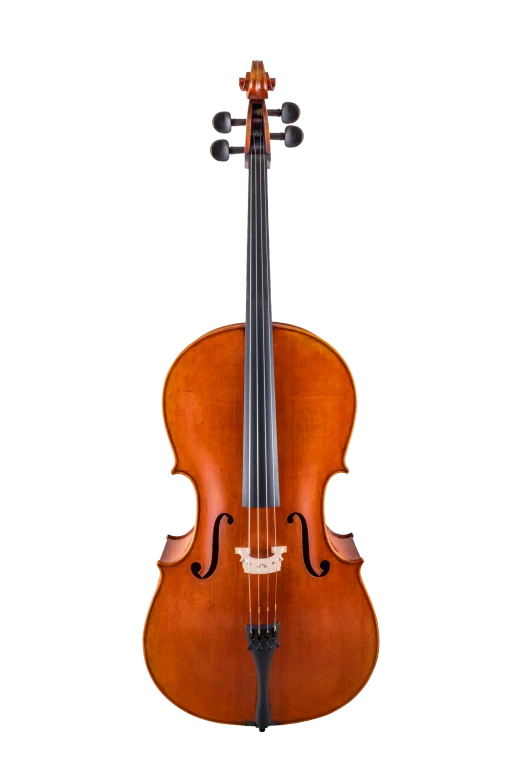 Scherl & Roth Cello SR75E4H Carved