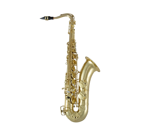 Selmer Tenor Saxophone in B♭ STS711
