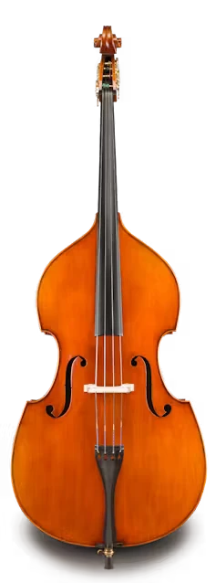 Basses