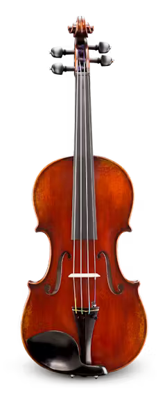 Jean-Pierre Lupot VL501SBC