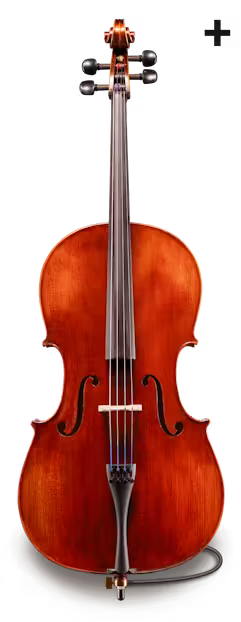 Samuel Eastman Series+ VC145+