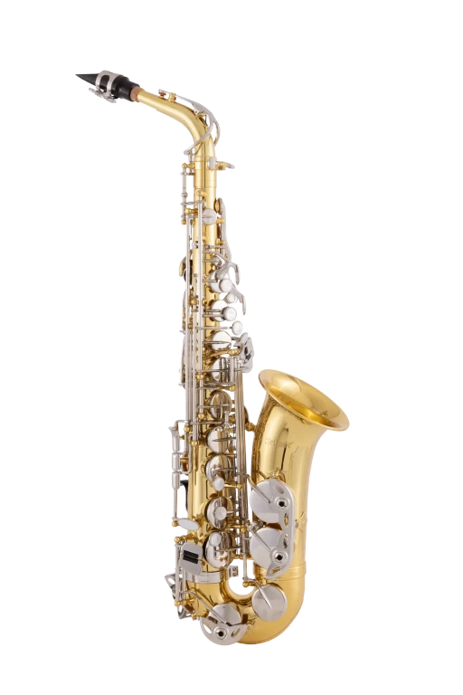 Selmer Alto Saxophone in E♭ SAS202