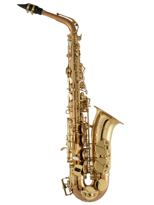 Selmer Alto Saxophone in E♭ SAS511C