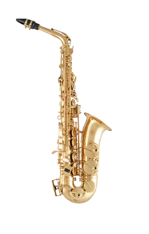 Selmer Alto Saxophone in E♭ SAS511