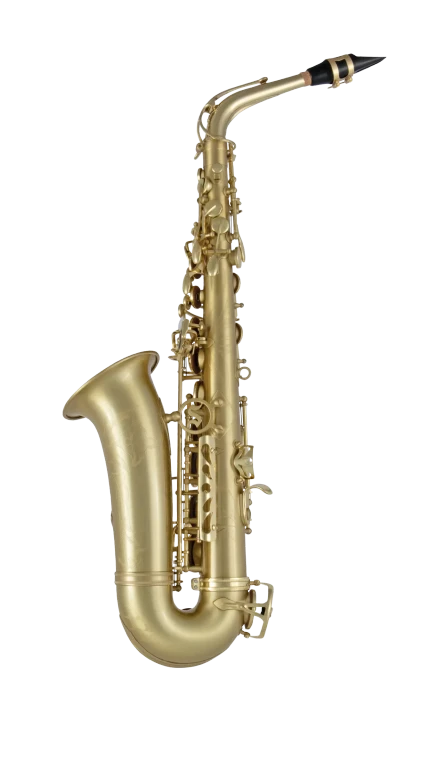 Selmer Alto Saxophone in E♭ SAS711M