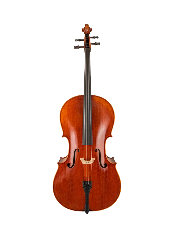 Scherl & Roth Cello SR65E4H Carved