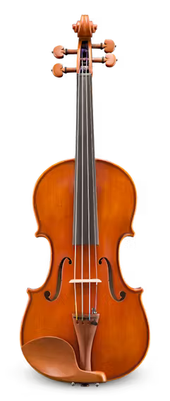 VL200 Eastman Step Up Violin